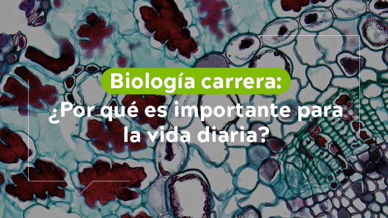 Biología carrera ¿Por qué es importante para la vida diaria?