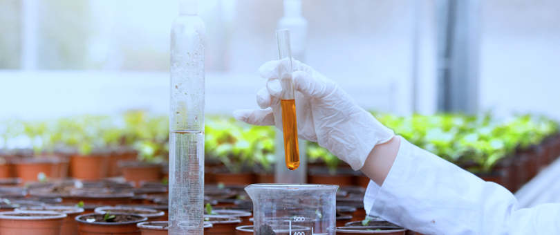 Pregrado Biología