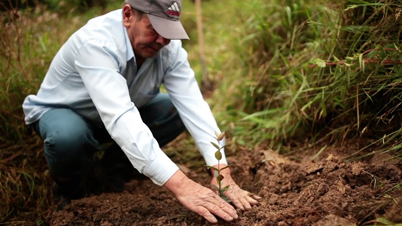 El Bosque Crece, una iniciativa para transformar acciones en hábitos sostenibles