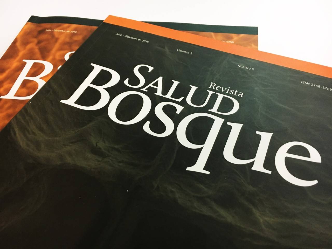 Revista Salud Bosque