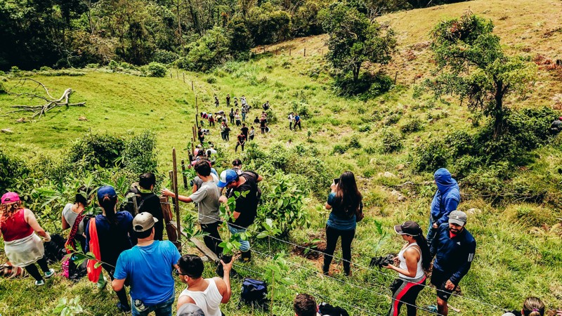 La comunidad universitaria de El Bosque llegó a los 7.440 árboles sembrados