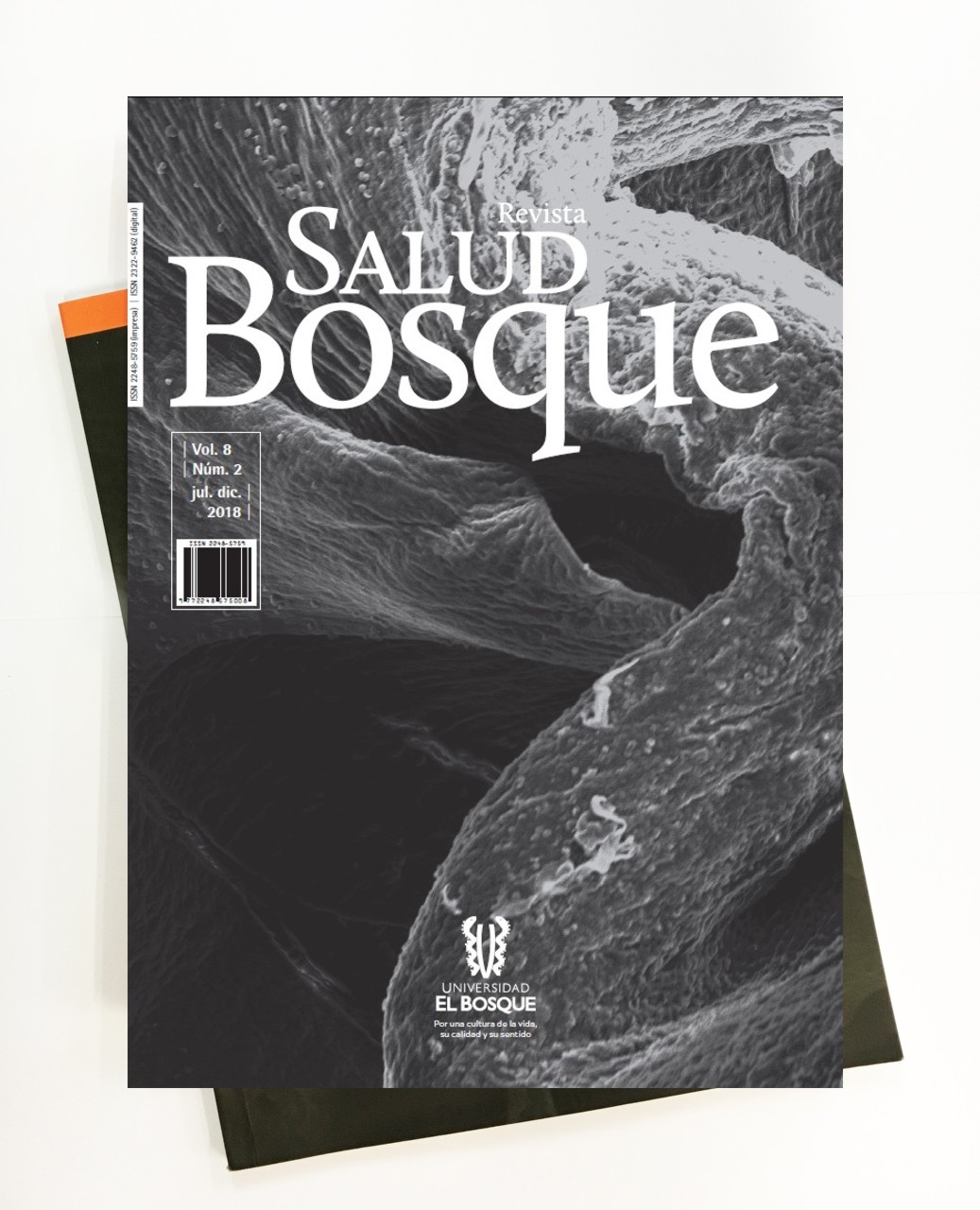 Revista Salud Bosque