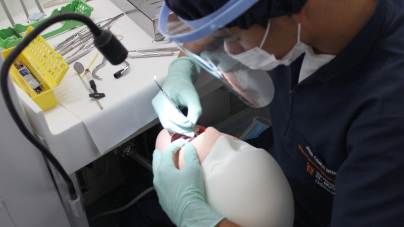 odontologos-elbosque
