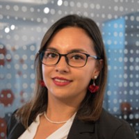 Sindy Vanessa Ochoa Zamudio