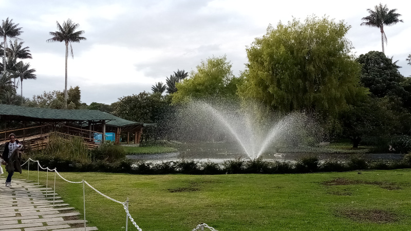 jardin-botanico-uelbosque