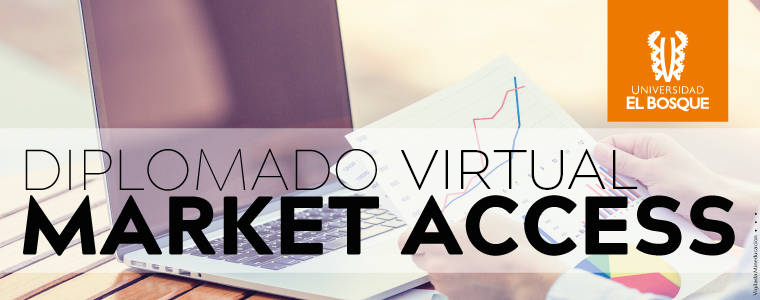 Diplomado Virtual Market Access