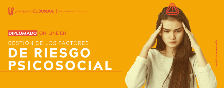 Diplomado On-Line en Gestión de Factores del Riesgo Psicosocial