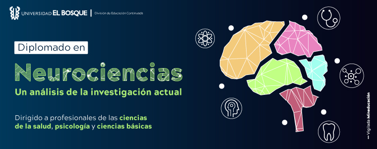 Diplomado en Neurociencias