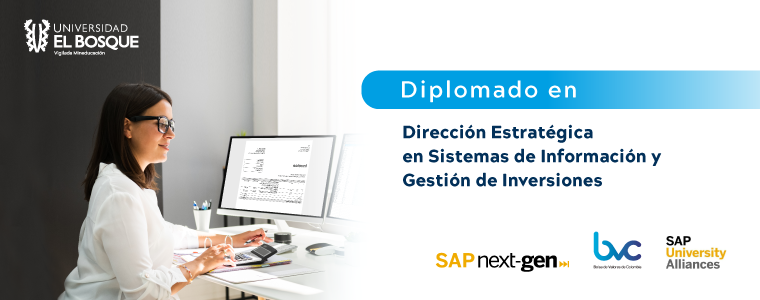 Diplomado Dirección Estratégica en Sistemas de Información y Gestión de Inversiones