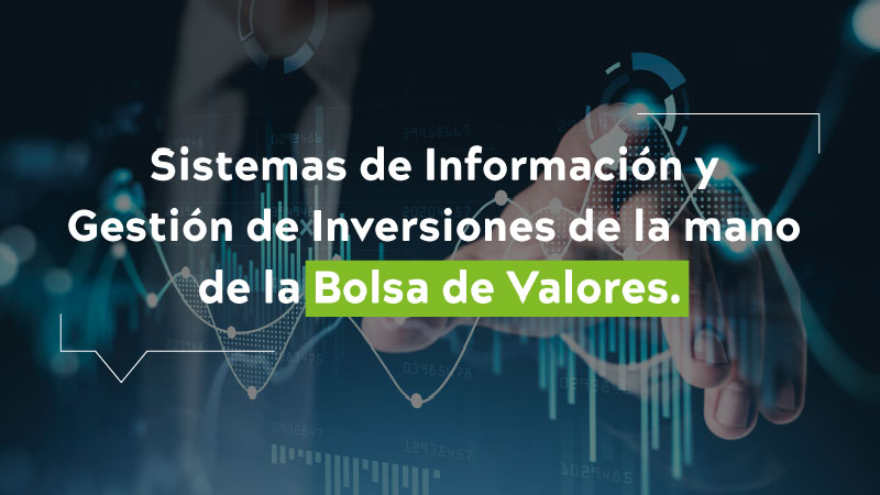 Sistemas de informacion y gestion de inversiones