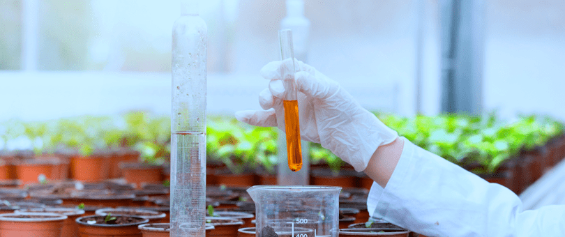 Pregrado Biología