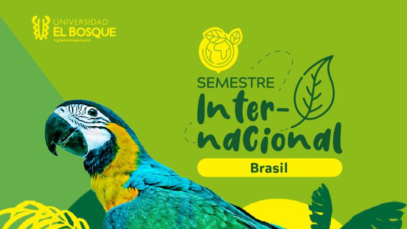 semestre internacional brasil