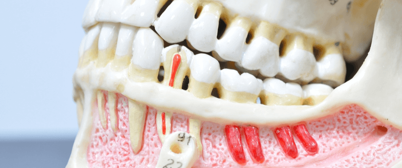 Maestría en Ciencias Odontológicas