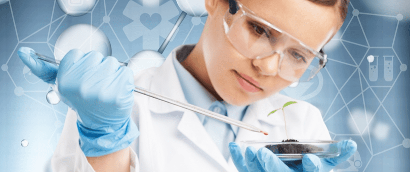 Doctorado en Bioética