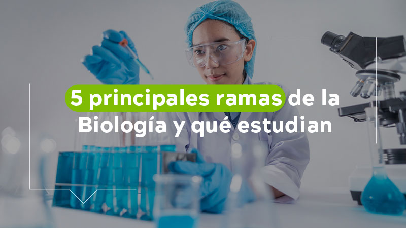 5 Ramas Especificas De La Biologia
