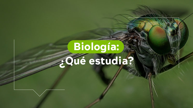 Biología ¿Qué estudia?