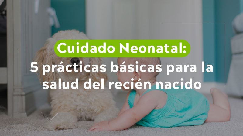 Cuidado neonatal 5 prácticas básicas para la salud del recién nacido