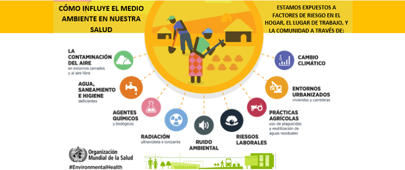 Maestría en Salud Ambiental