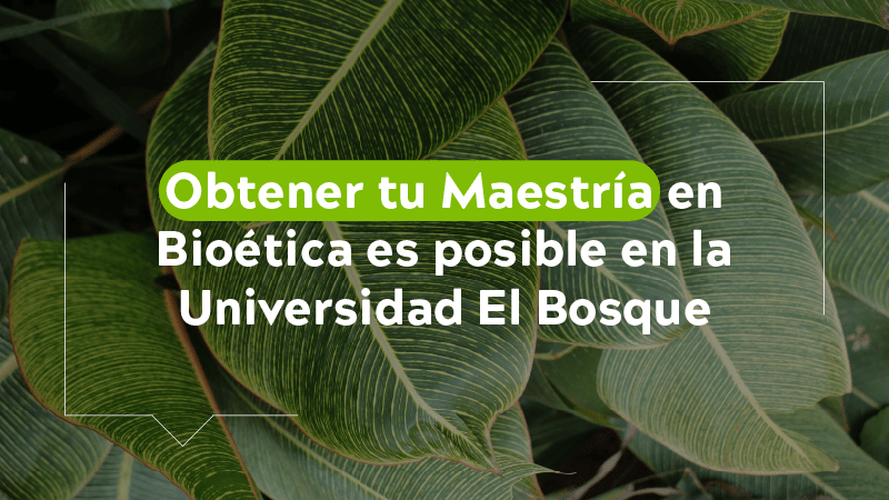 Obtener tu Maestría en Bioética es posible en la Universidad El Bosque