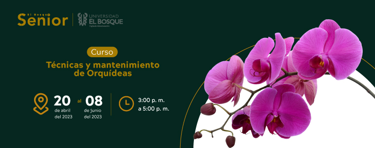 Curso: Técnicas y mantenimiento de orquídeas