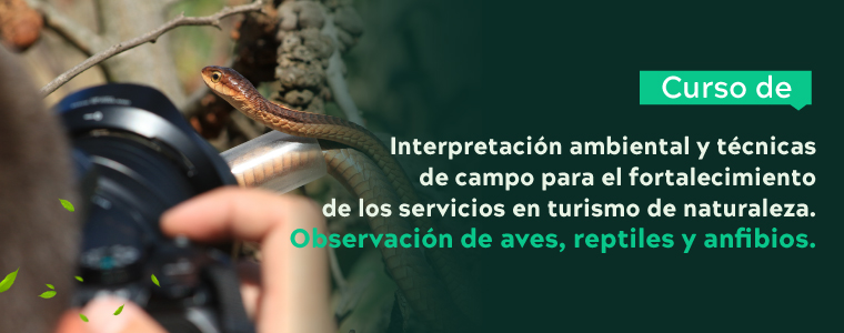 CURSO: Interpretación ambiental y técnicas de campo para turismo de naturaleza: Observación de aves, anfibios y reptiles