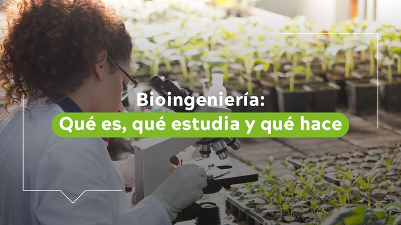 Qué es bioingenieria