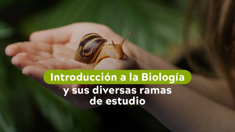 Ramas de la biología