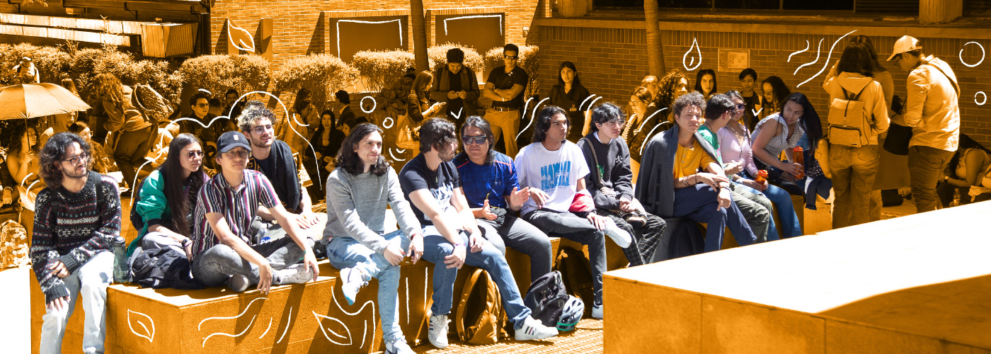 imagen de card basic