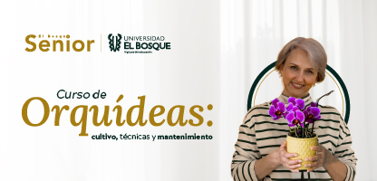 Curso de Orquídeas: Cultivo, técnicas y mantenimiento