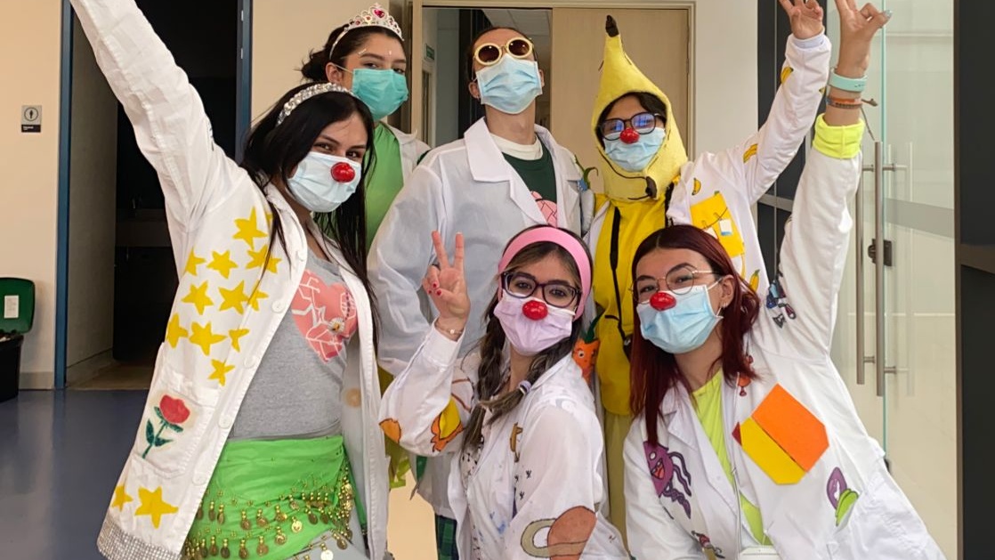 Voluntariado en El Bosque: una experiencia que transforma vidas 