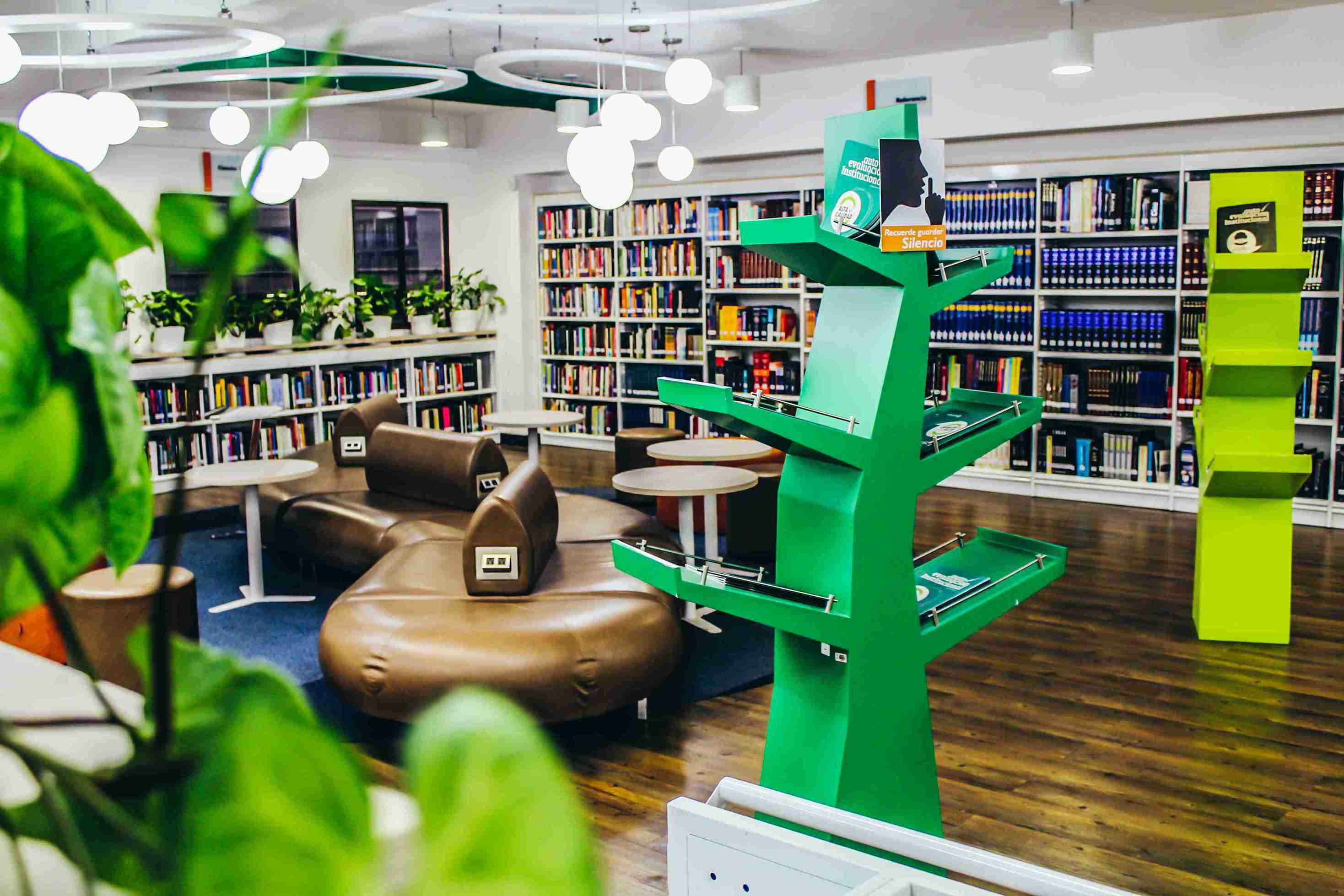 Biblioteca con un árbol verde en el centro, rodeado de estanterías llenas de libros.