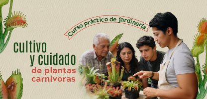 Curso de jardinería: cuidado y cultivo de plantas carnívoras 