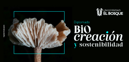 Diplomado en Biocreación y Sostenibilidad