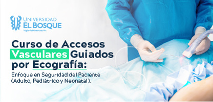 Curso de Accesos Vasculares Guiados por Ecografía: Enfoque en Seguridad del Paciente (Adulto, Pediátrico y Neonatal)