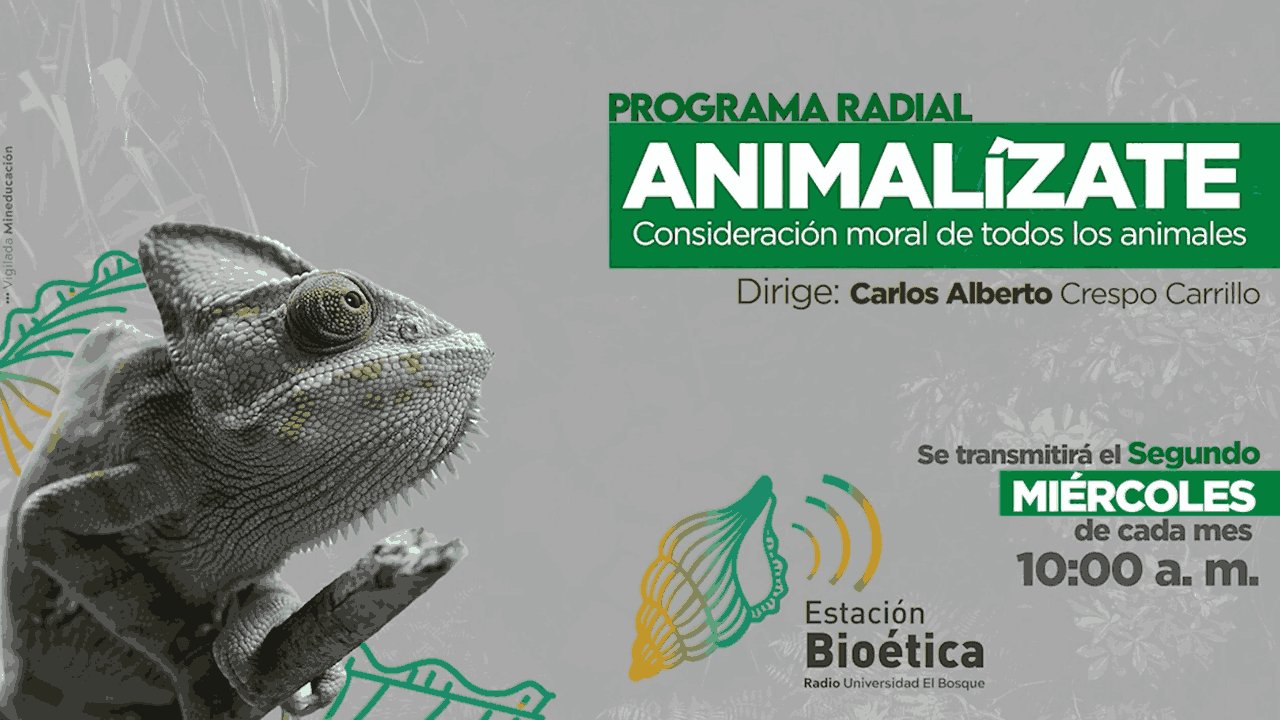  Animalízate