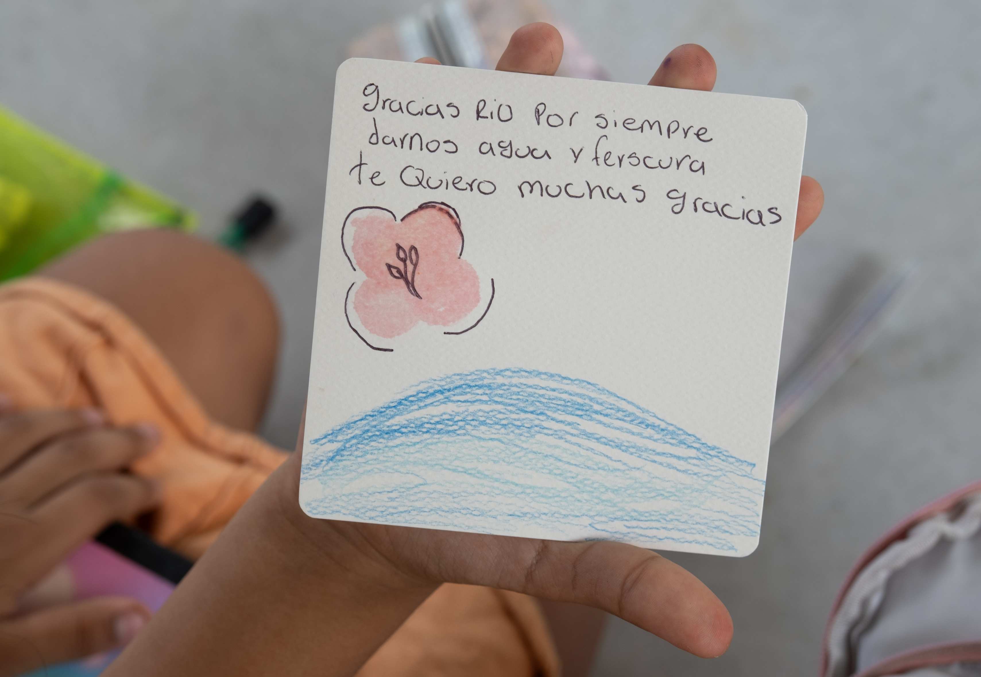 Universidad El Bosque lleva educación artística a la Sierra Nevada de Santa Marta