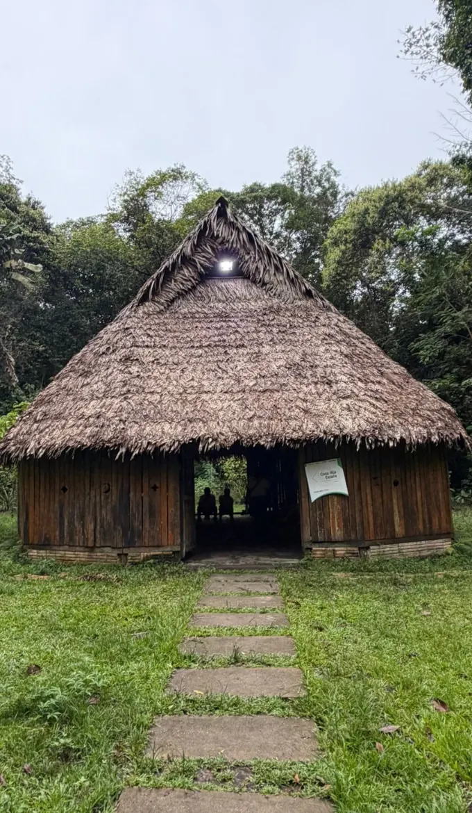 Cabaña de techo de paja situada en el centro de un bosque frondoso, rodeada de árboles altos y vegetación densa.