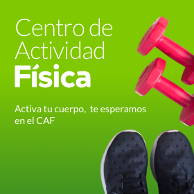 Centro de Actividad Física