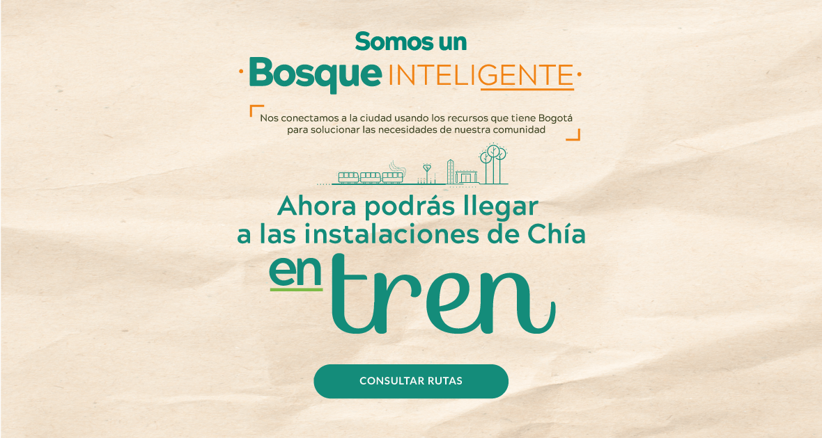 Somos Un Bosque Inteligente