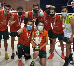 VOLEIBOL