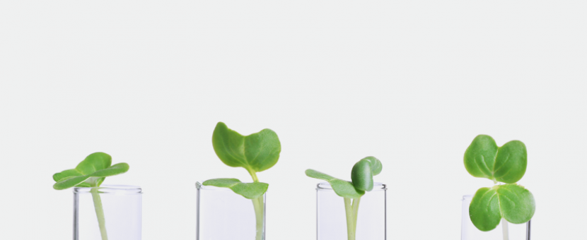 Curso Básico en Ingenierías y Ciencias Ambientales
