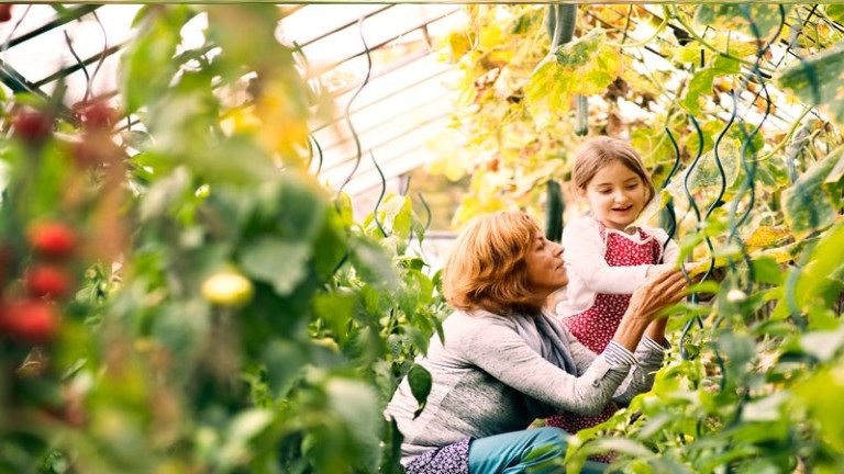 que es jardineria