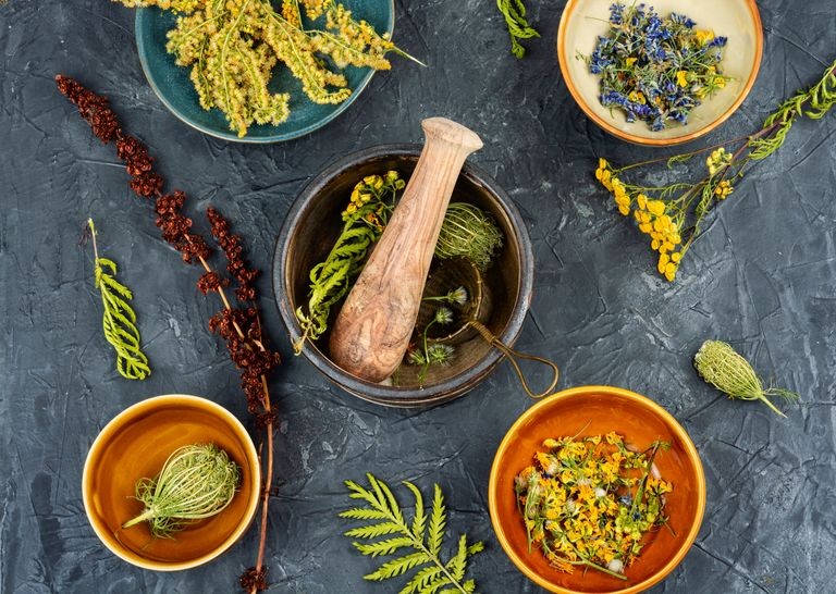 tipos de hierbas aromáticas