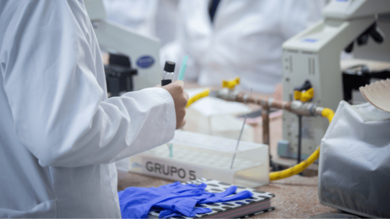 universidad_elbosque_patentes_colombia_2024_investigacion