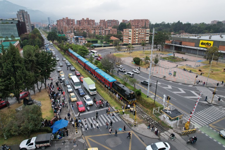 MoviBosque
