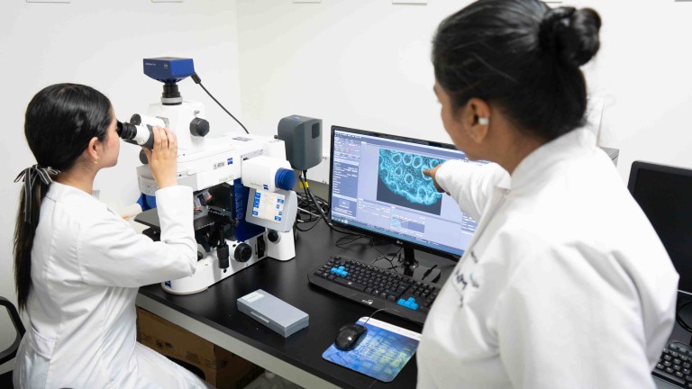 universidad-elbosque-resultados-minciencias-investigacion