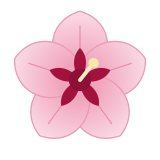 Flor coreana