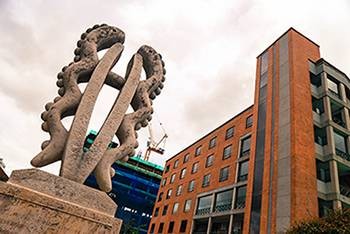 01alma-mater-universidad-el-bosque_0.jpg