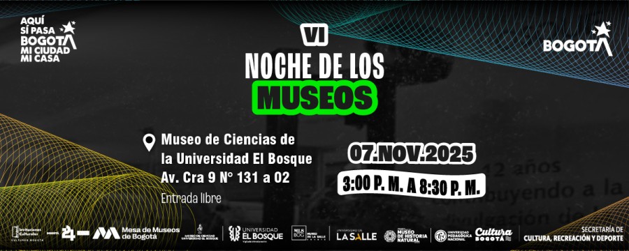 Noche de Museos 