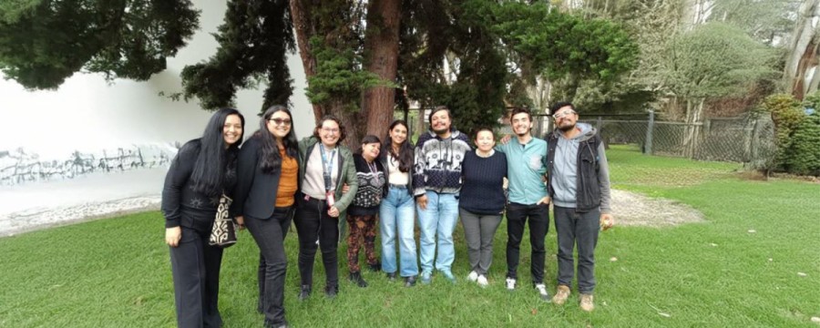 Grupos universitarios